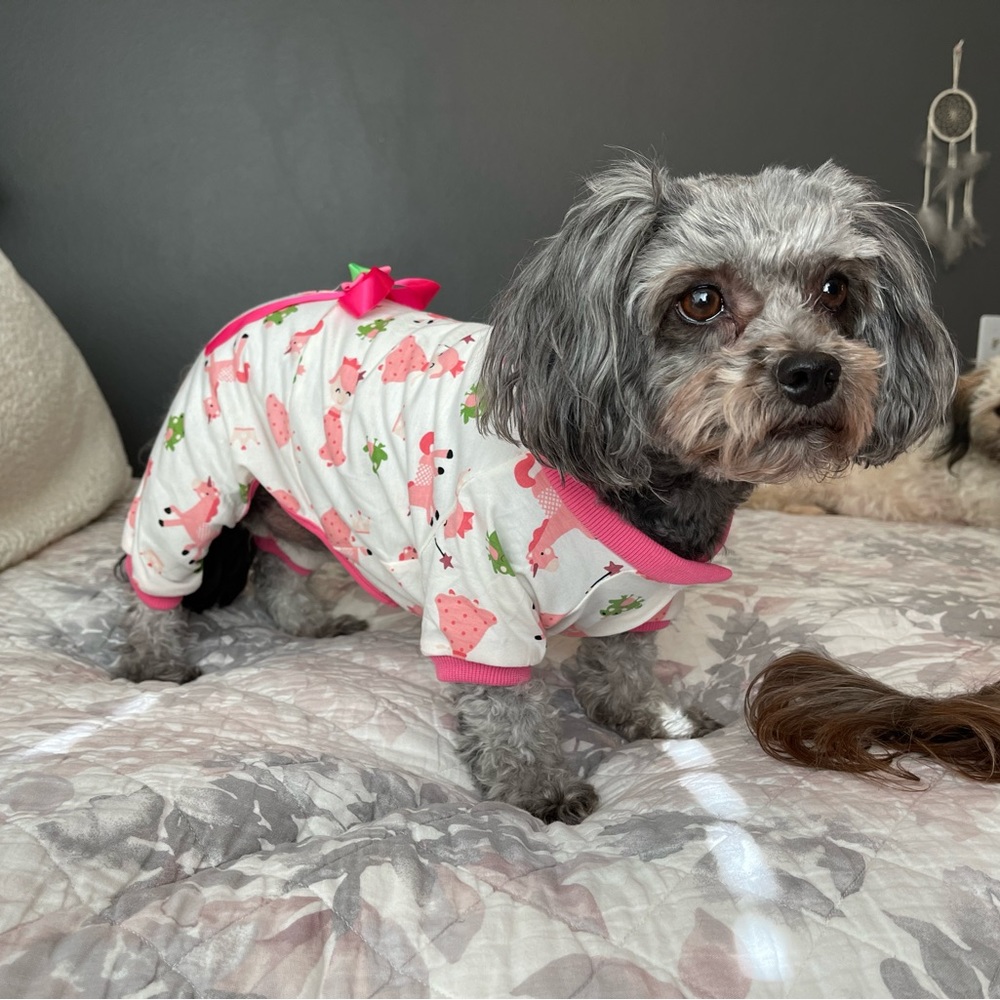 Pink Dog Pajamas
